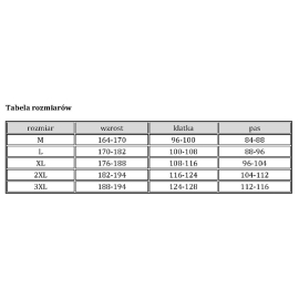 Bluza robocza FORECO-J BJS